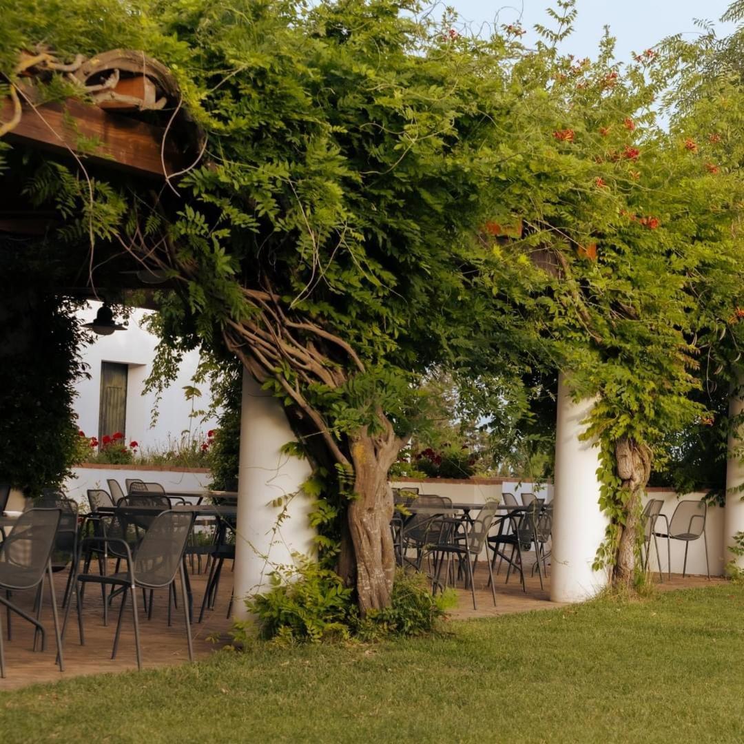 Séjour à la ferme Relais Masseria Cardillo Métaponte